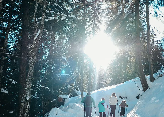 Bleues Les Du Prariand
